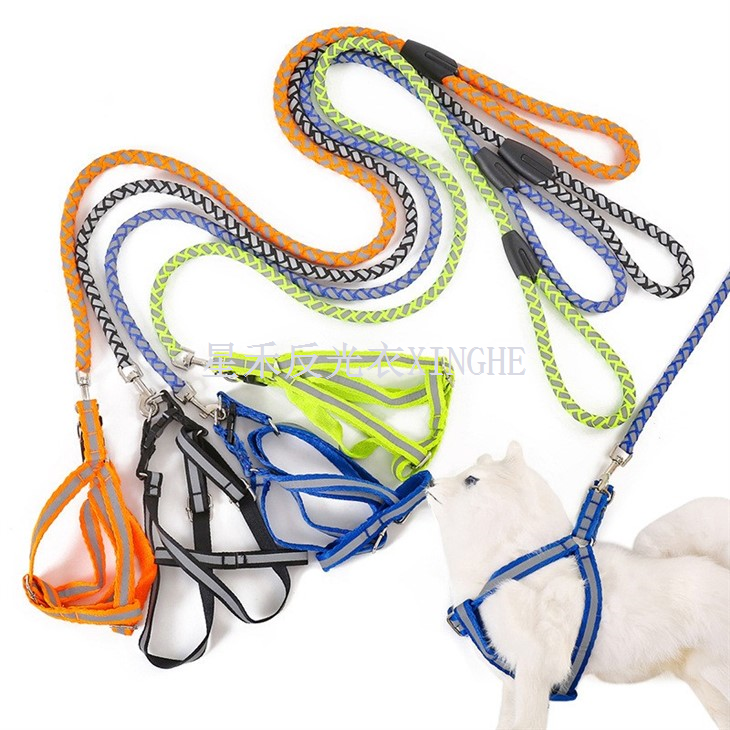 Leash Ci Anwes Myfyriol