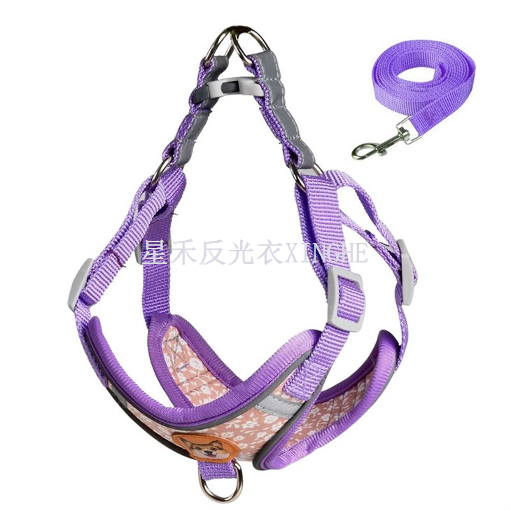 Ci Strap Myfyriol Diogelwch
