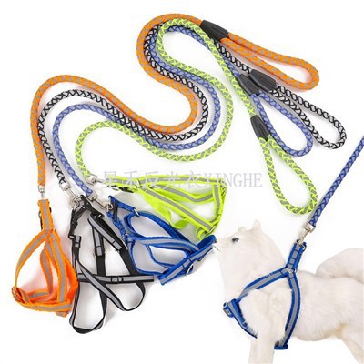 Leash Ci Anwes Myfyriol